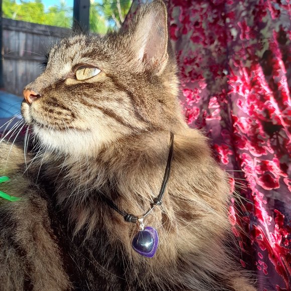 Meet your Posher, Jessica - Picture 1 of 1